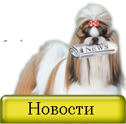 Новости