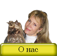 О нас