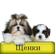 Щенки