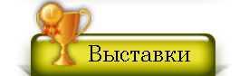 Выставки