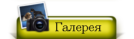 Фотогалерея